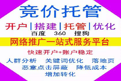 SEM服务案例：提升网站流量